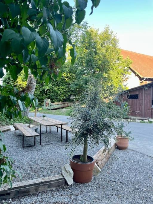 Zauberhafte Ferienscheune Im Hofgut Alte Oelmuehle Engen Ngoại thất bức ảnh
