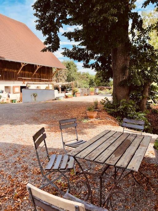 Zauberhafte Ferienscheune Im Hofgut Alte Oelmuehle Engen Ngoại thất bức ảnh